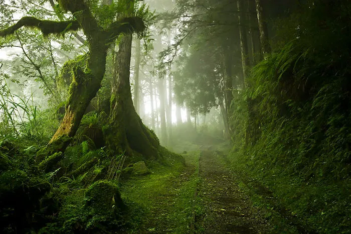 Taipingshan, Taiwan