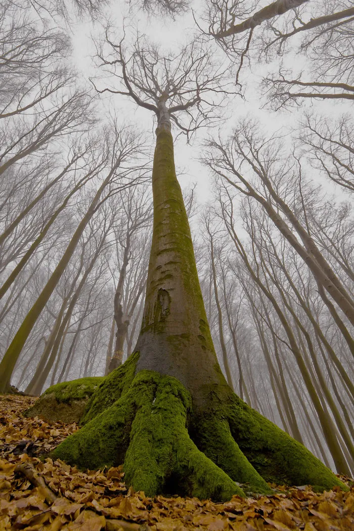 Poland