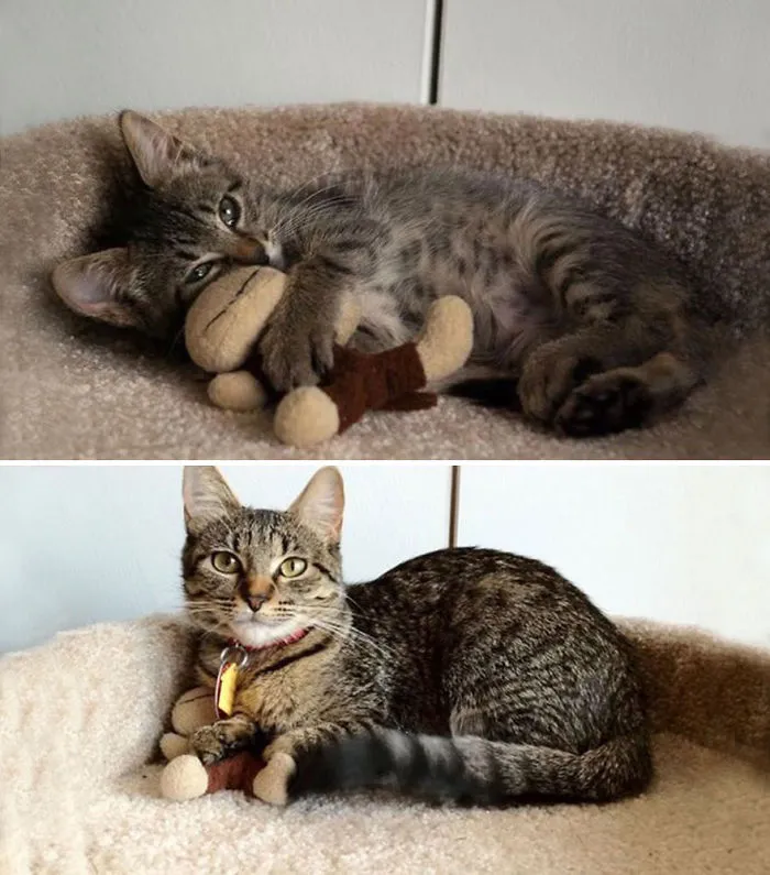 My Little Ball Of Fury 8 Months Later