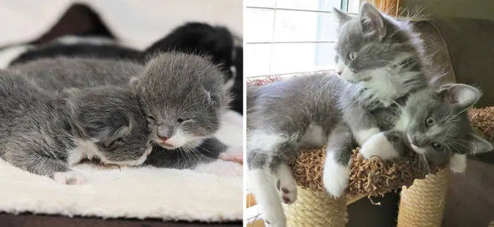 Tucker And Stewie Then And Now