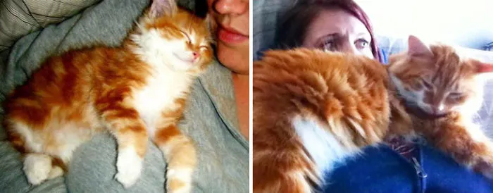 Some Things Never Change