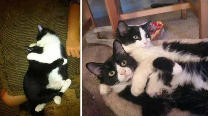 12 Months Apart