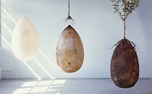 Forget Coffins - Organic Burial Pods Will Turn Your Loved Ones Into Trees