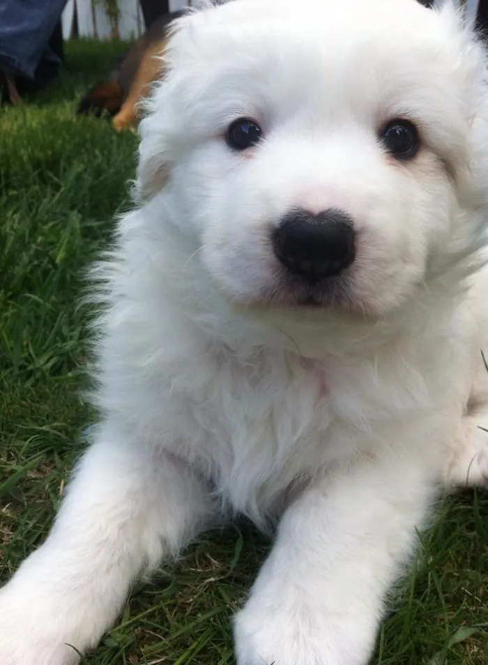 My Baby Bruno