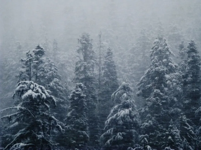 Wells Gray, British Columbia, Canada