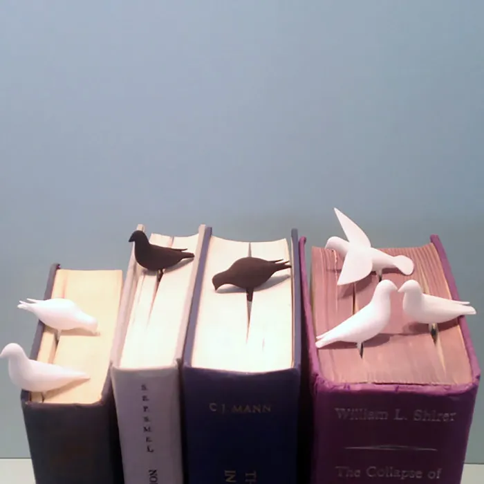 Birds