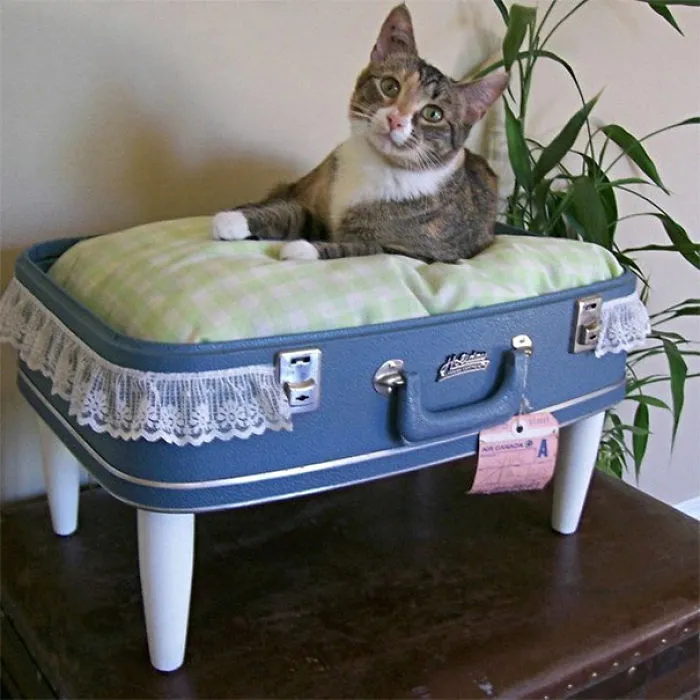 Suitcase Turned Into Cat Bed