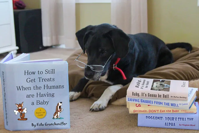 115 Of The Most Creative Baby Announcements Ever