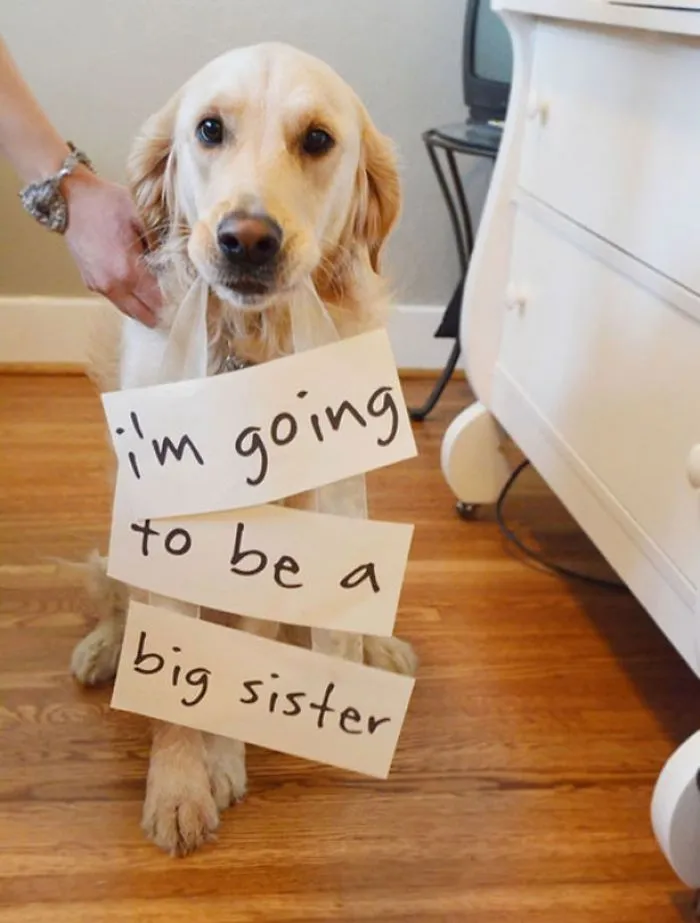 115 Of The Most Creative Baby Announcements Ever