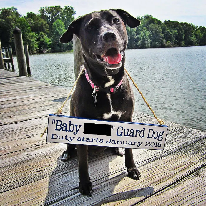 115 Of The Most Creative Baby Announcements Ever