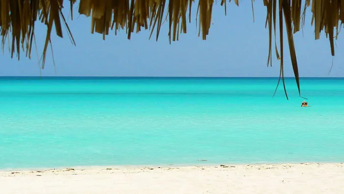 Amazing Things To Do When Traveling To Cuba