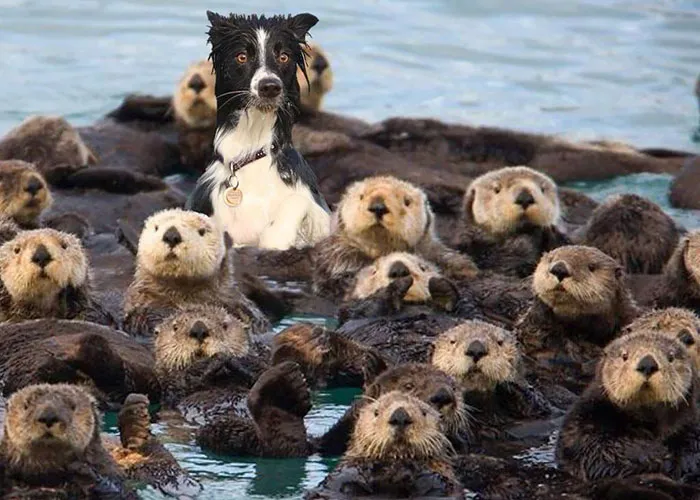 I Think There's A Spy Among Us