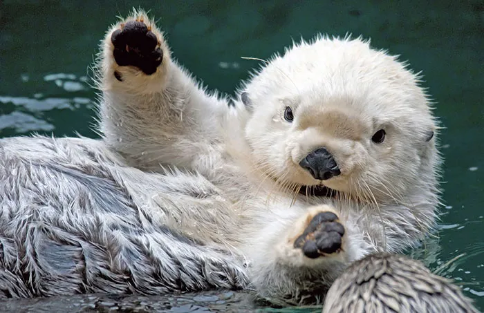 Hi!