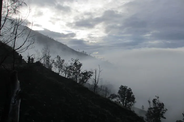 East Java I'm In Love!