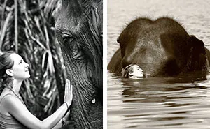 The Friendship With An Elephant I Met In South East Asia