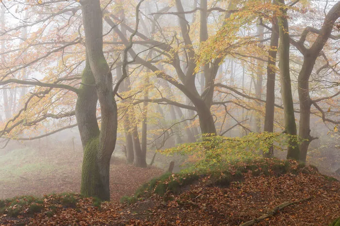 Northern Germany