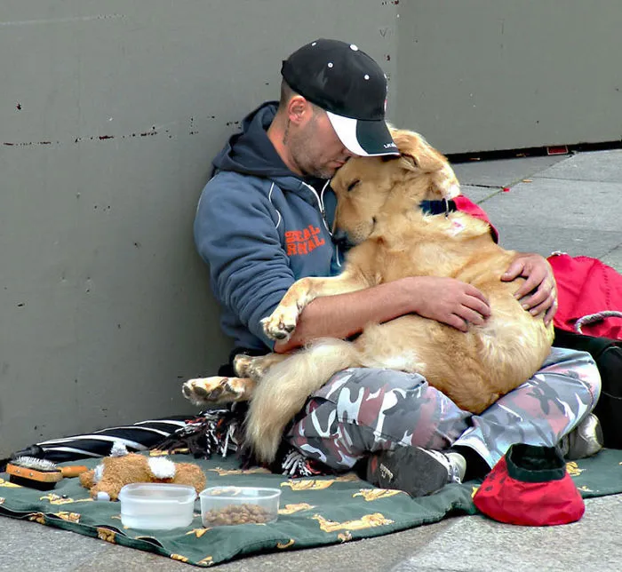 Dogs Will Love No Matter What