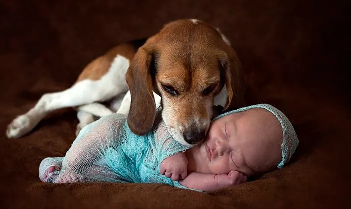 Baby And His Guardian