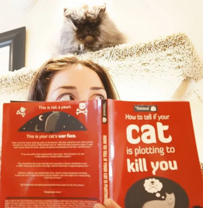 How To Tell If Your Cat's Secretly Planning To Kill You