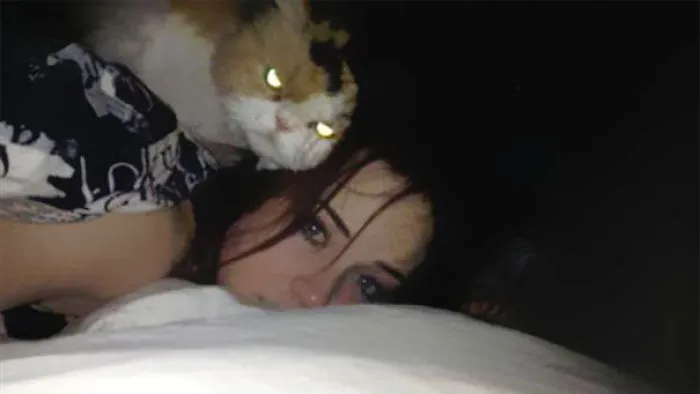 How To Tell If Your Cat's Secretly Planning To Kill You