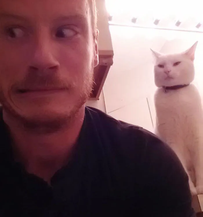 How To Tell If Your Cat's Secretly Planning To Kill You