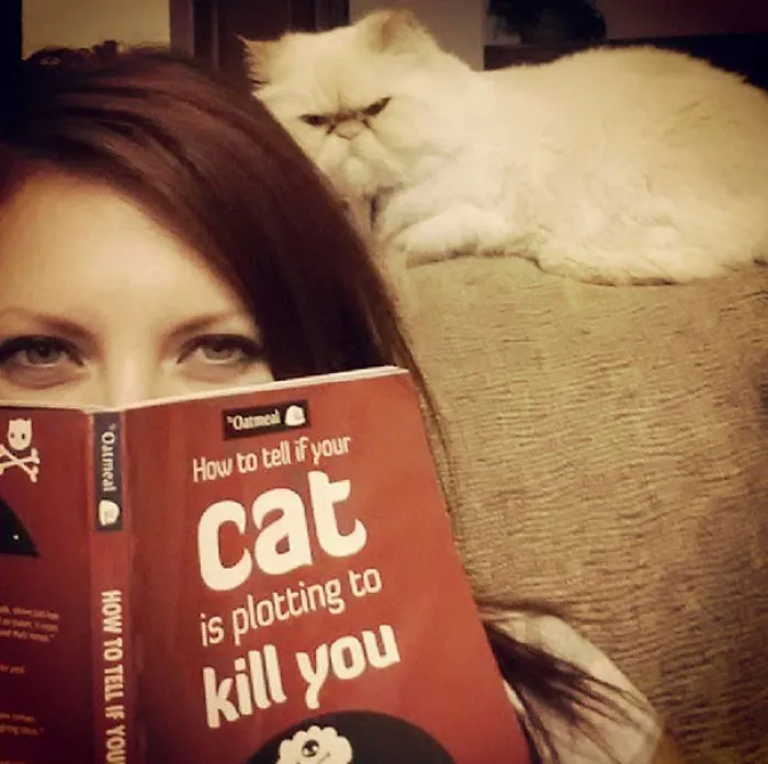 How To Tell If Your Cat's Secretly Planning To Kill You