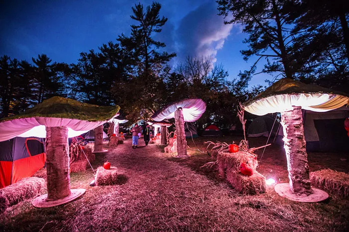 My Giant Illuminated Mushrooms Brighten Up Every Place They Go