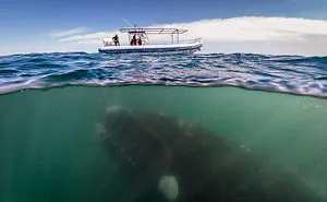 62 Breathtaking Photos Taken Between Two Worlds