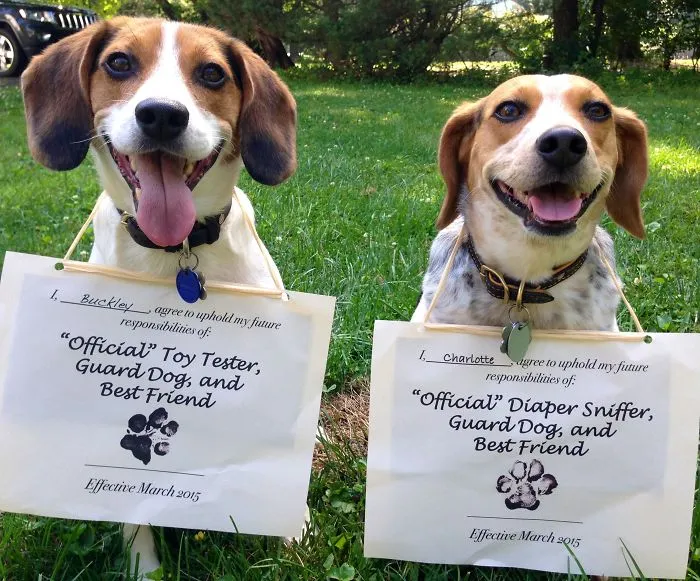 115 Of The Most Creative Baby Announcements Ever