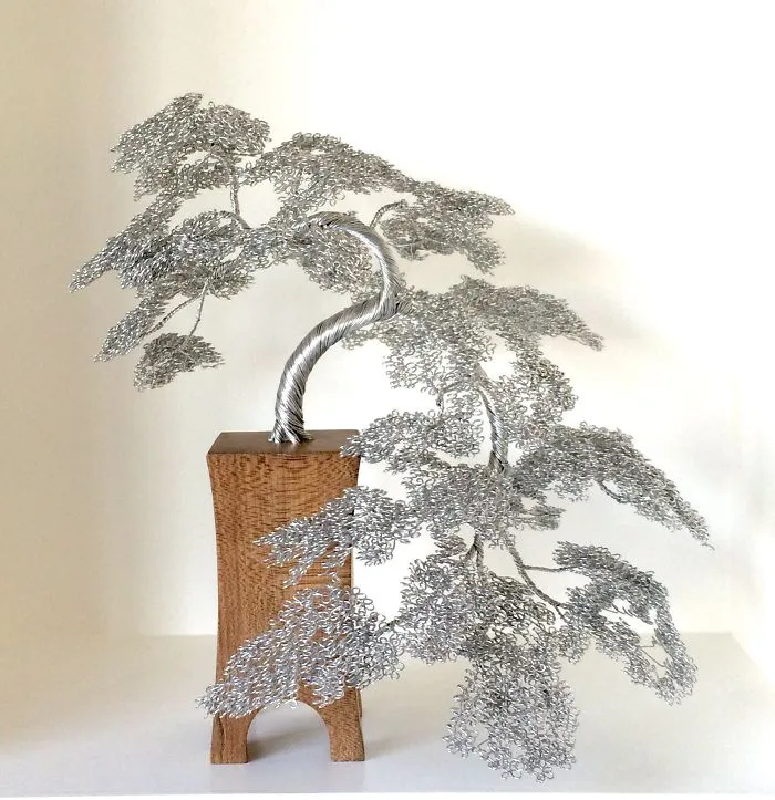 Han-kengal Bonsai
