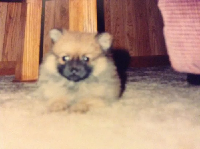 This Is Shelly.