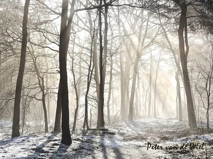 End Of The Winter