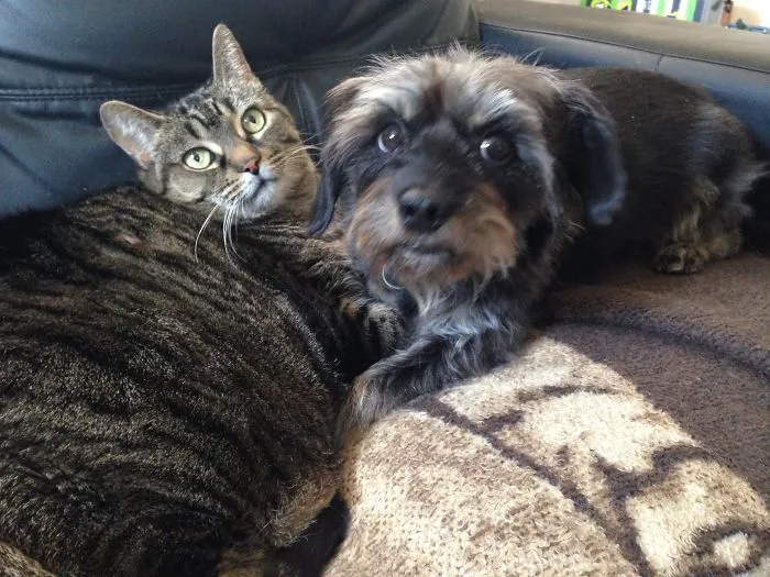 Bailey & Whiskey