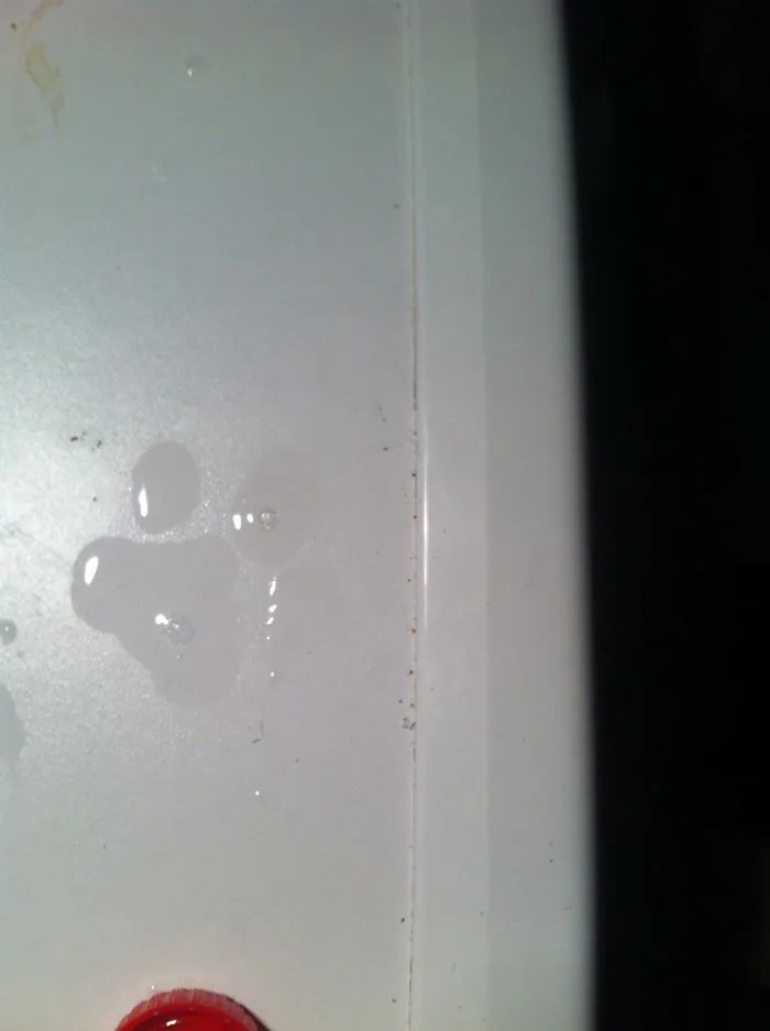 Perfect Water Paw