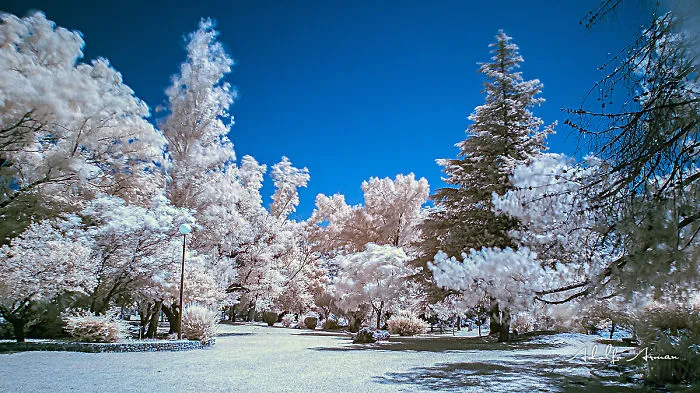 Do You Like Infrared Photography?