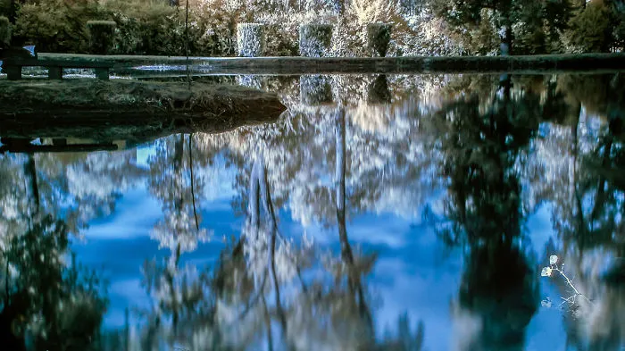 Do You Like Infrared Photography?