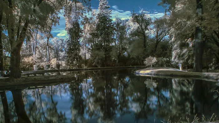 Do You Like Infrared Photography?