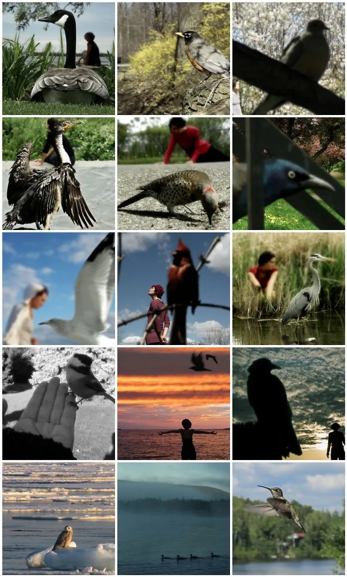 Birds In The Foreground With Me In The Background - Photomontages.
