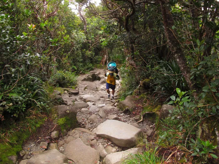 Mount Kinabalu, Sabah, Malaysia