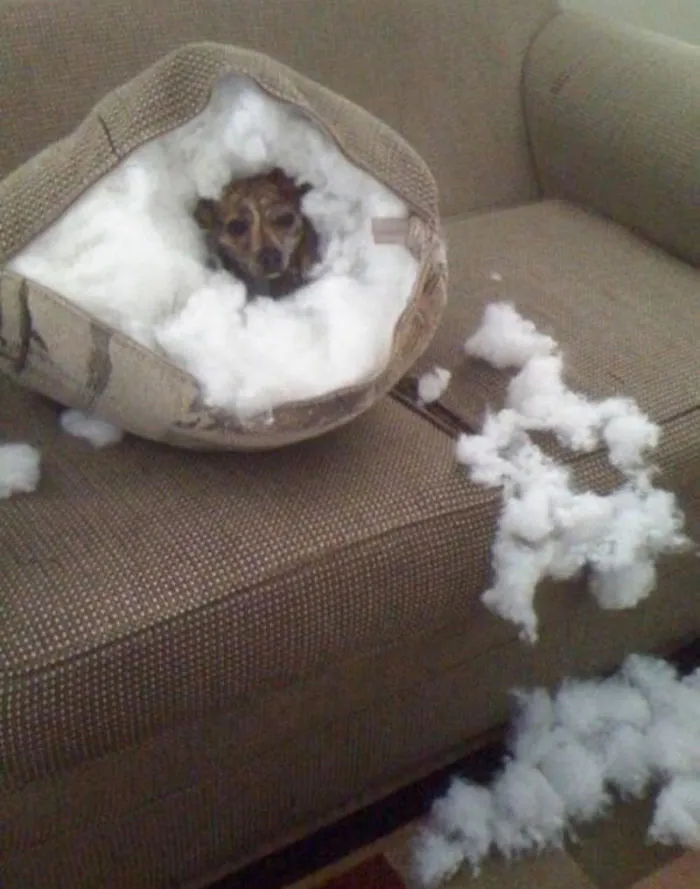 I Was A Little Cold