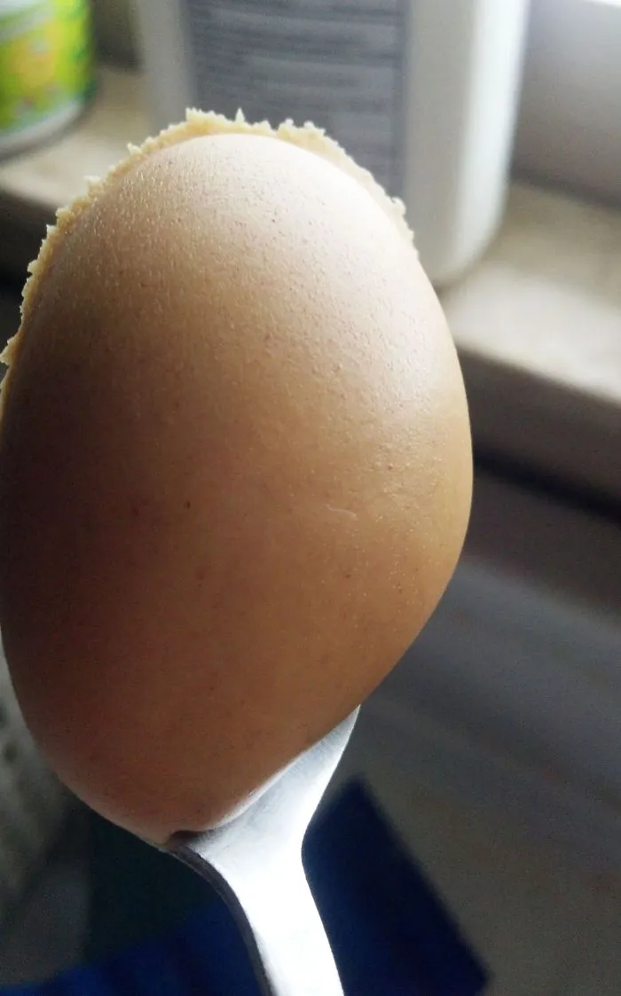 Ridiculously Photogenic Scoop Of Peanut Butter