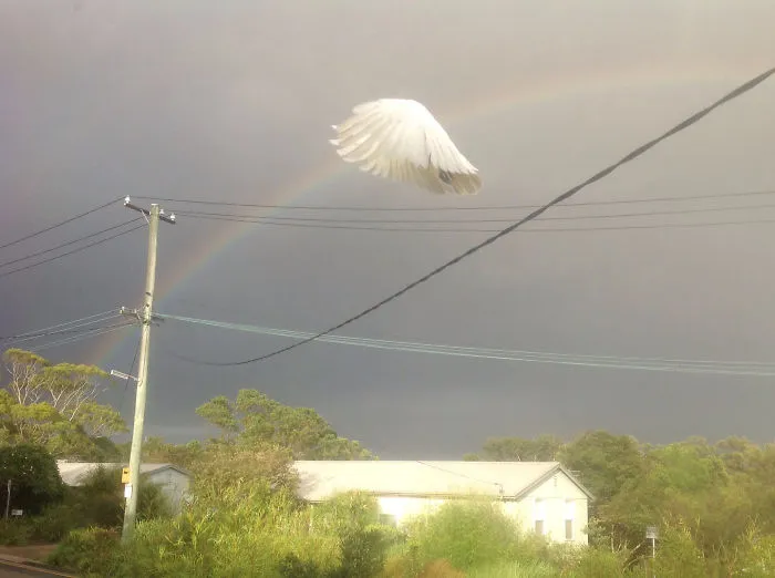 113 Photos Taken At Just The Right Moment