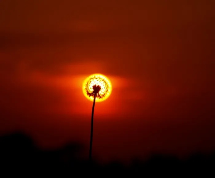 113 Photos Taken At Just The Right Moment