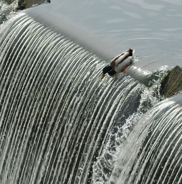113 Photos Taken At Just The Right Moment