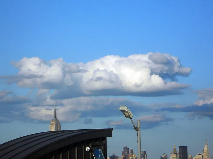 113 Photos Taken At Just The Right Moment