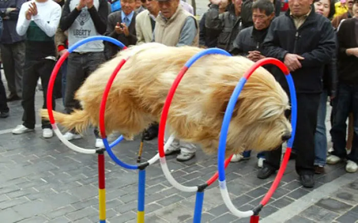 113 Photos Taken At Just The Right Moment