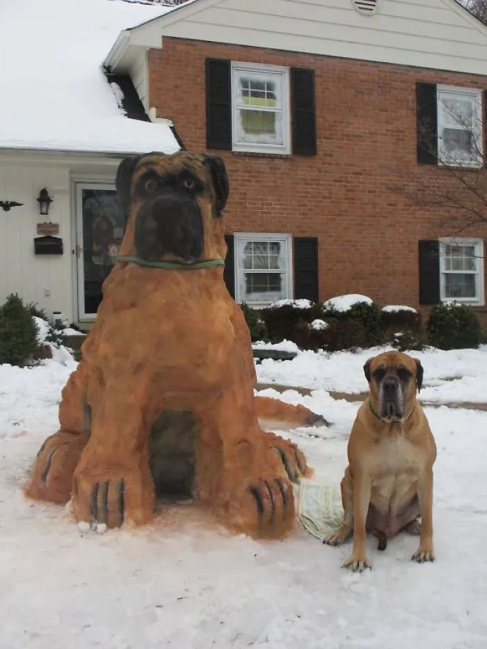 Snow Dogs