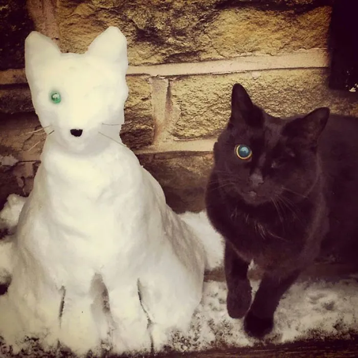 One-eyed Kitty