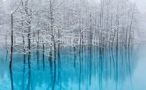 I Live In Hokkaido And Photograph This Magnificent Pond Every Season