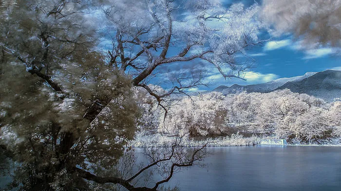 Do You Like Infrared Photography?